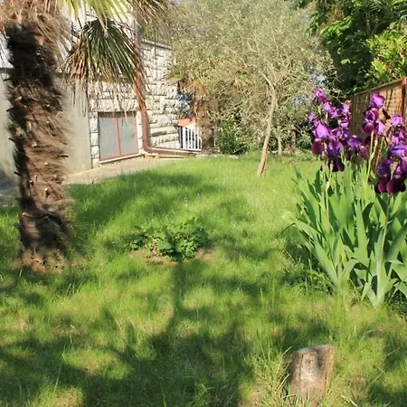 Apartment Pjescana Uvala, - 7652 Pula